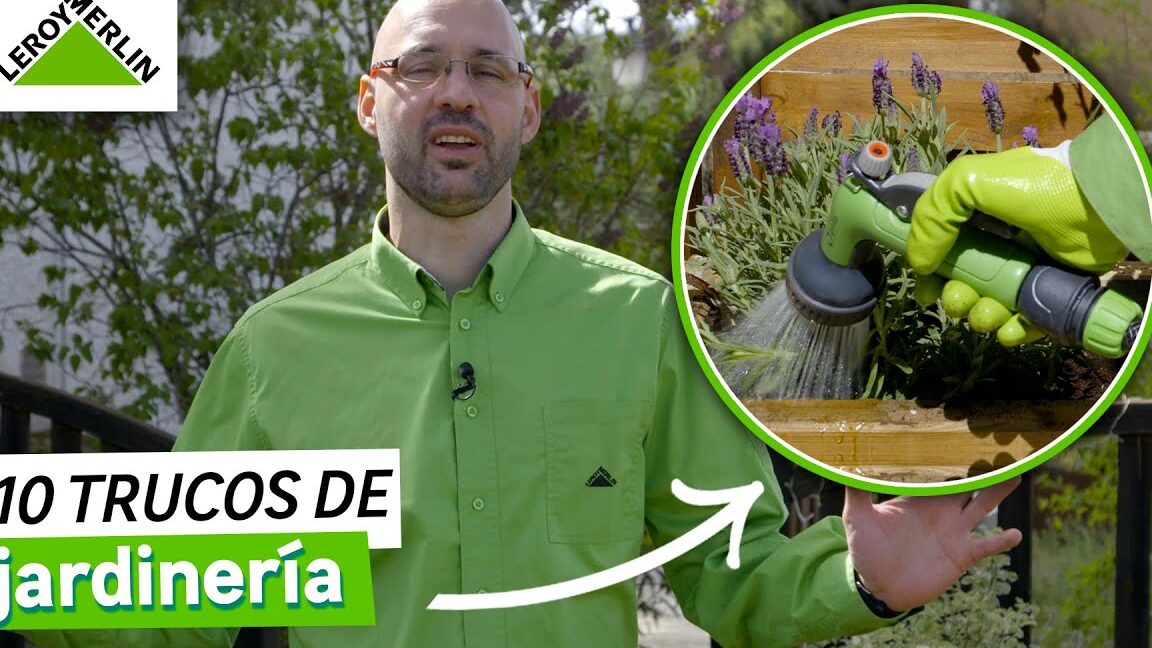 Descubre cómo la pica tierra de Leroy Merlin revoluciona tus proyectos de jardinería