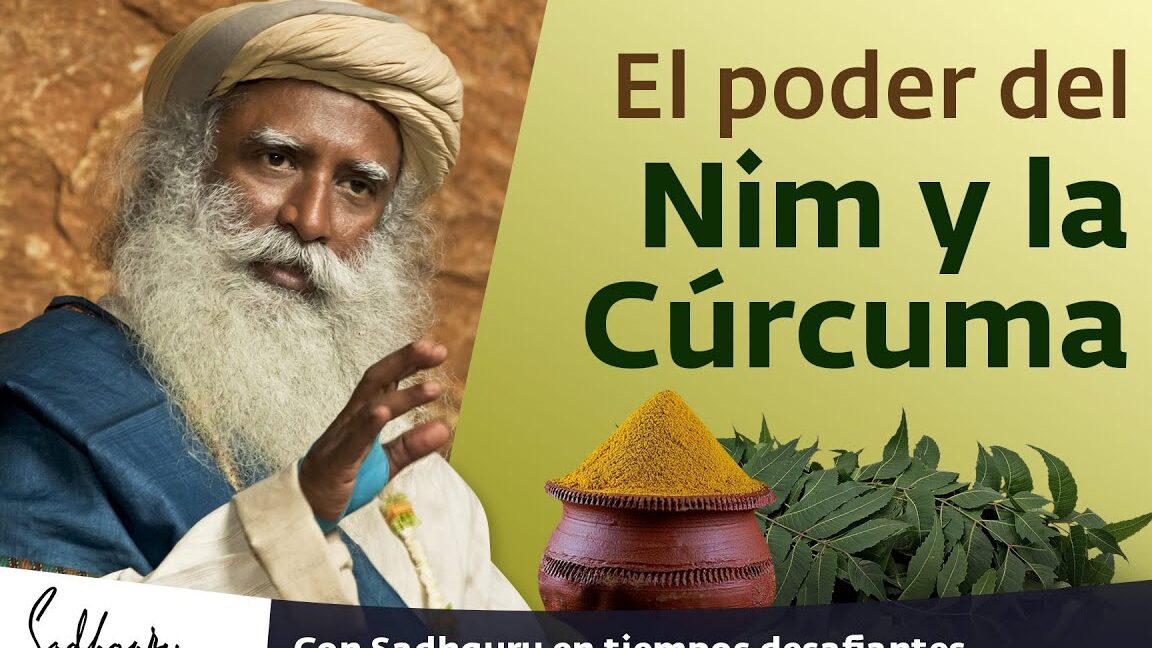 Descubre el poderoso aceite neem en Leroy Merlin: tu solución natural para plagas y cuidado de plantas