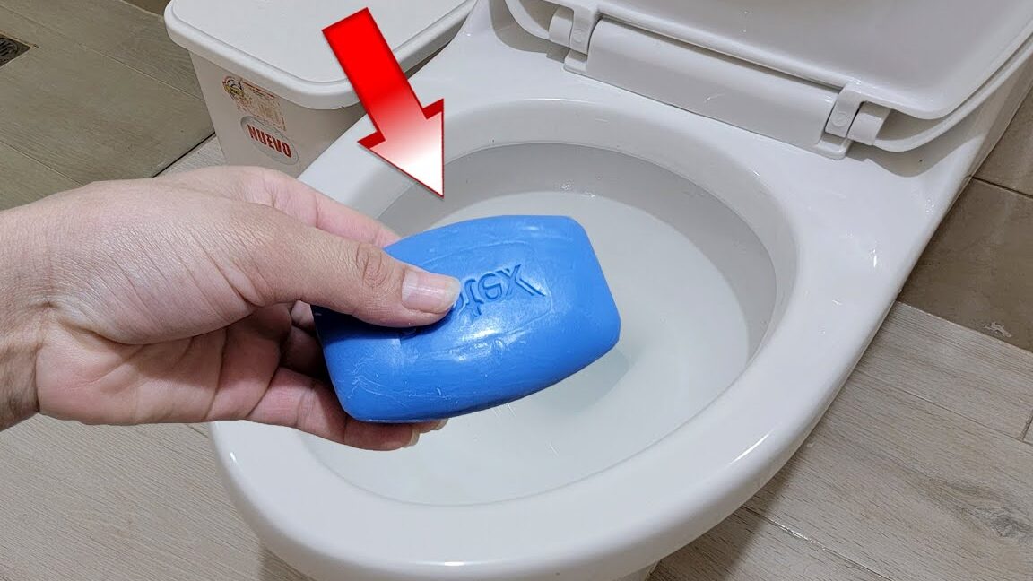 Descubre el revolucionario WC portátil Lidl: la solución clave para tus necesidades sanitarias en cualquier lugar
